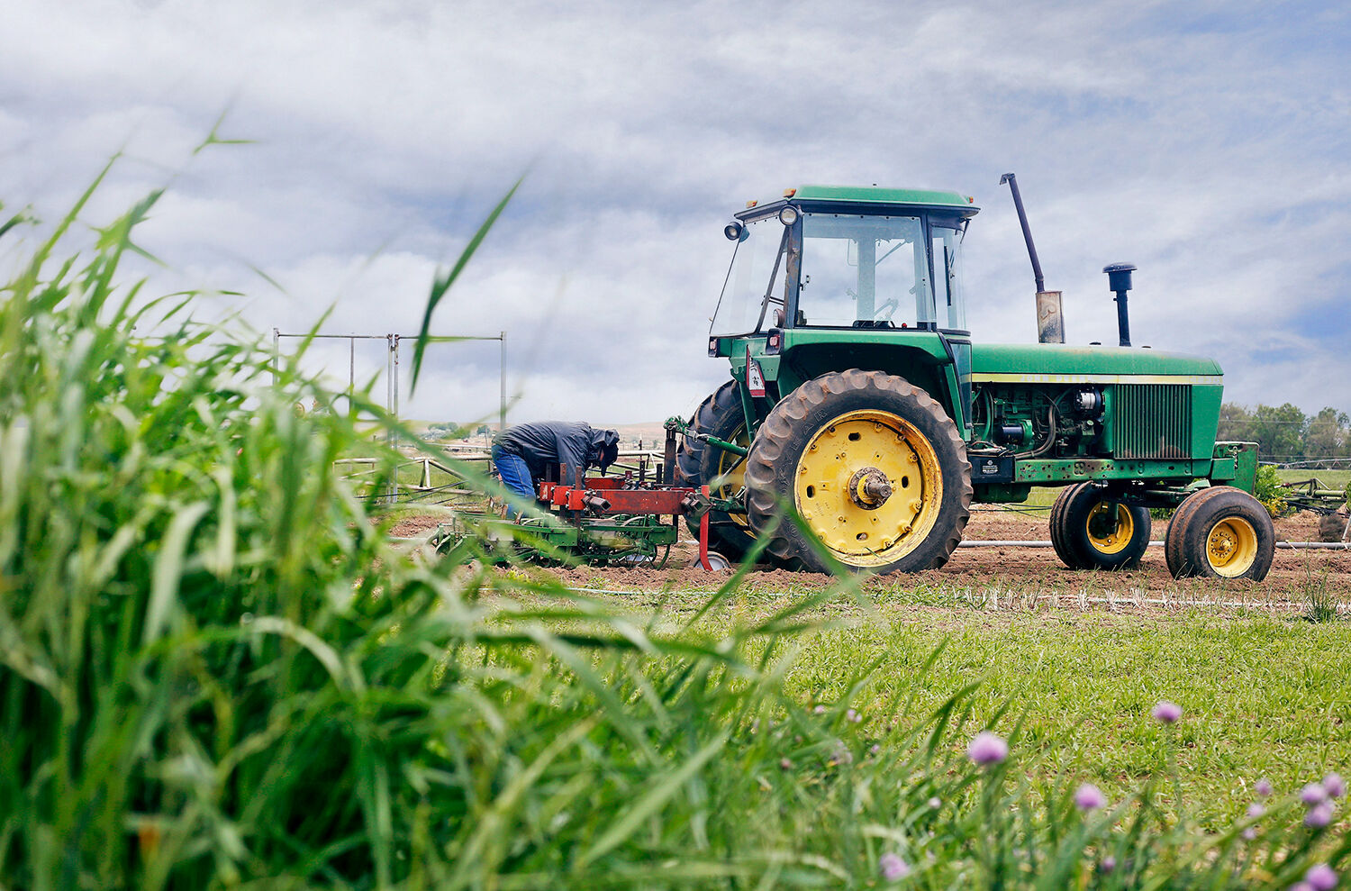 Purple Sage tractor